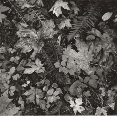 g2/90/353490/3/66316751.Rpyet0GQ.jpg