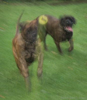 g2/90/420090/3/66252679.hS5DSKvQ.jpg