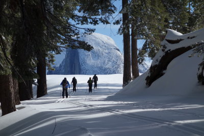 half dome in view b