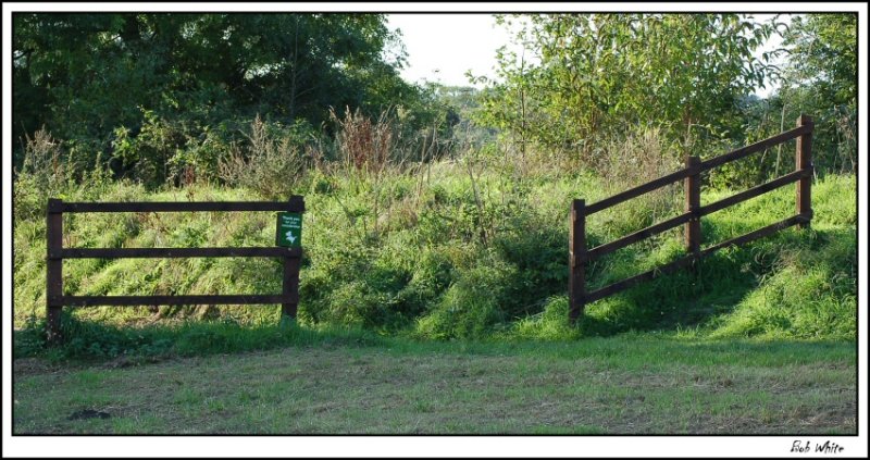 A Country Walk.