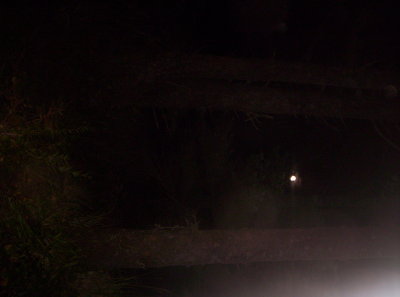 100_9242.JPG