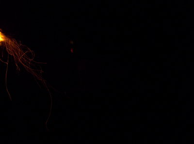 100_9243.JPG