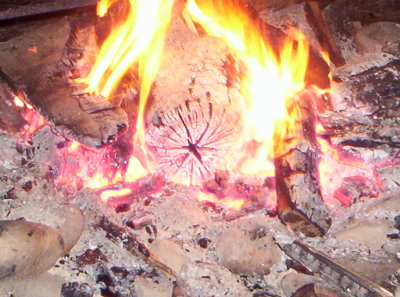 100_9282.JPG