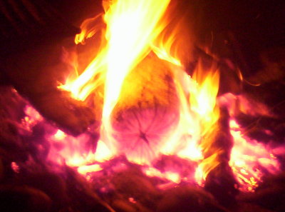 100_9283.JPG