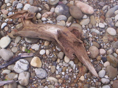 100_9288.JPG