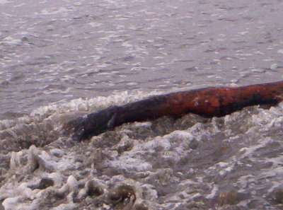 100_9289.JPG
