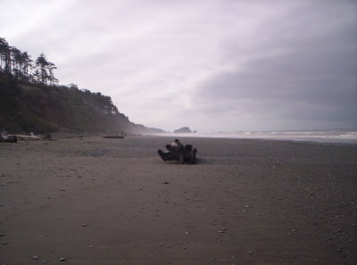 100_9290.JPG