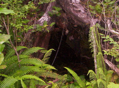 100_9308.JPG