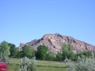 Picture 445.jpg
