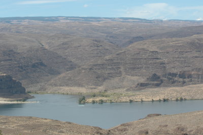 P1010190c.jpg