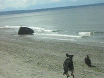 gonzobeach2.JPG