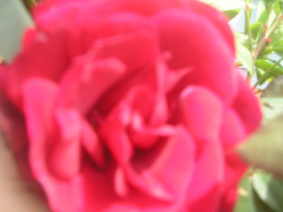 P1010016.JPG
