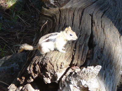 DSC09415.JPG