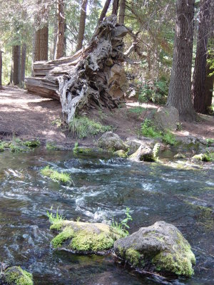 DSC09417.JPG