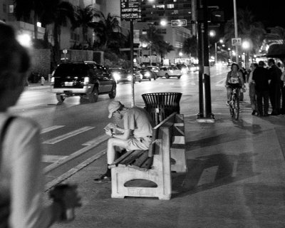 Collins Ave Airport Owl Night Owl