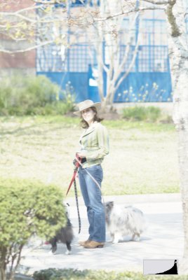 dog walker during rodeo 01 org