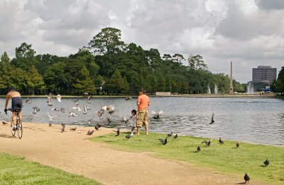 Hermann Park pond feeding pigeons 03