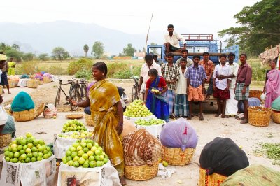 Palani Fruit Market