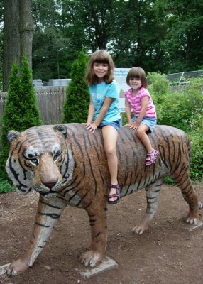 Riding The Tiger