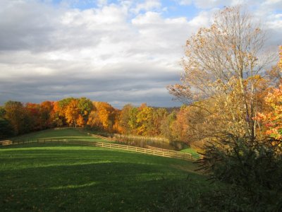 view from rear deck.jpg