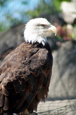 Brwnsvl_Zoo_007.JPG