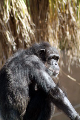 Brwnsvl_Zoo_014.JPG