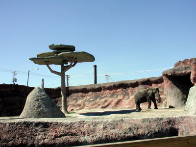 Brwnsvl_Zoo_018.JPG