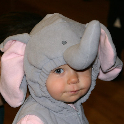 The Littlest Elephant