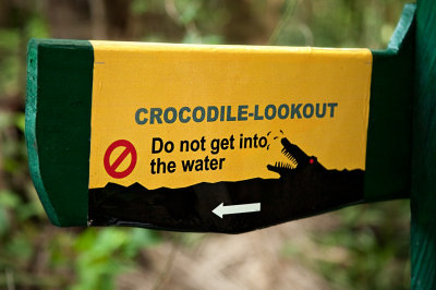 20120424-Crocodile001.jpg