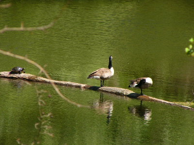 P1320872.JPG