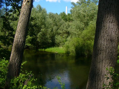 P1320921.JPG