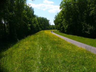 P1320966.JPG