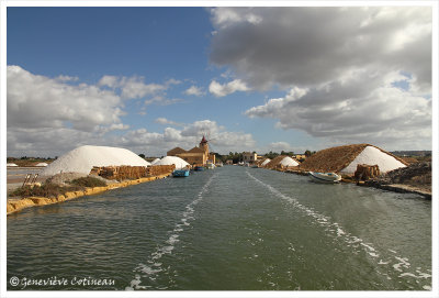 Mazara del Vallo / Marsala / Mozia