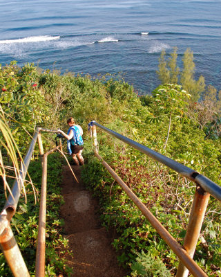 Trail down to the beach