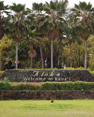 Welcome to Kauai