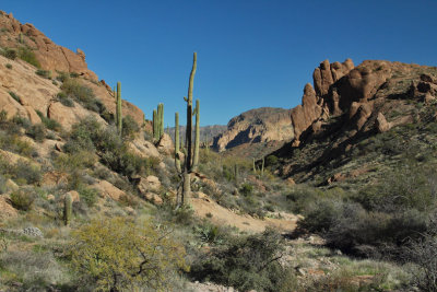 Trail follows a wash through a small canyon