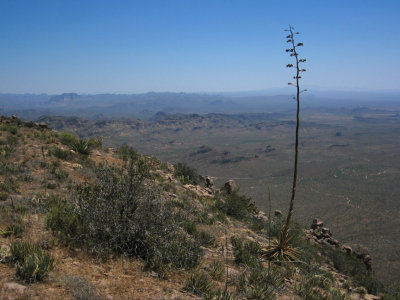 View southeast from the ridgeline