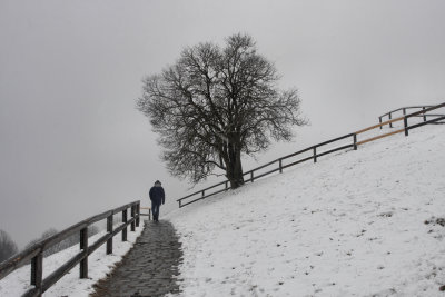 Winter Scenes in Munich Olympia Parc  