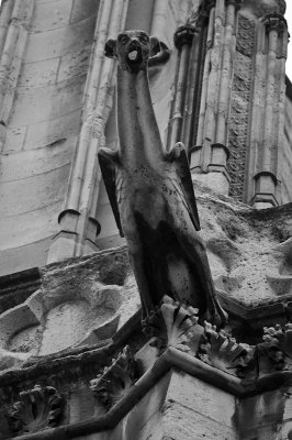 Gargoyle