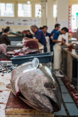 Fish market 