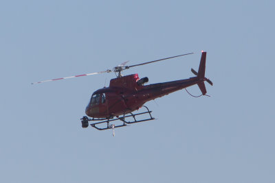 F1-206.jpg