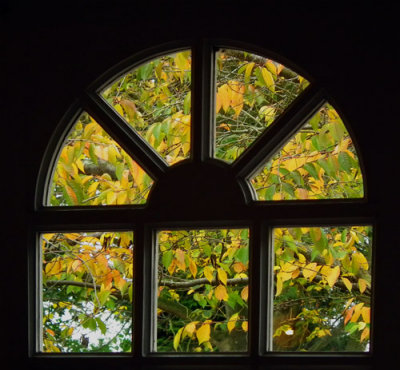 Autumn, Through the Arched Window 