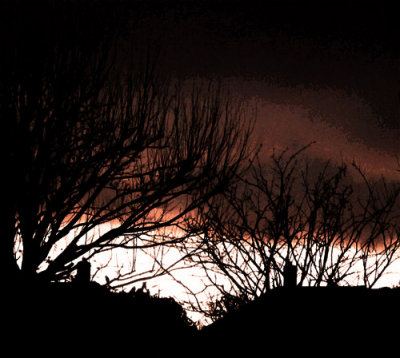 Night falls early these days
