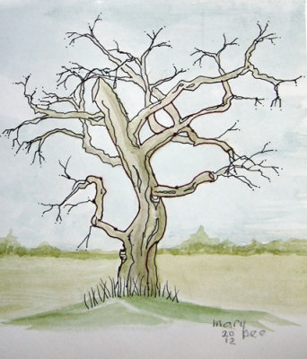 Old Tree sketch 