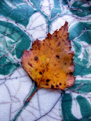 leaf dish and leaf