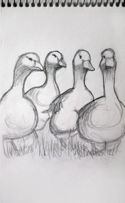 Goose Quartet 