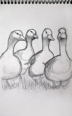 Goose Quartet
