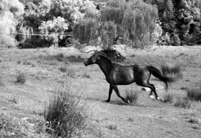 Up River and Running Free