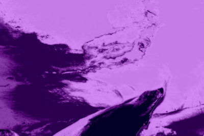 Inner Space Cavern 1 Purples