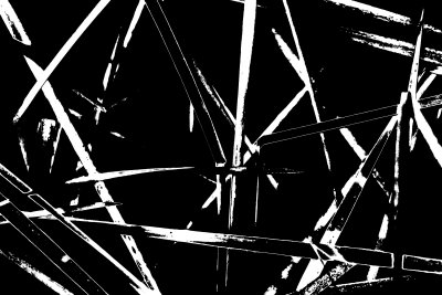 Grasses Black & White